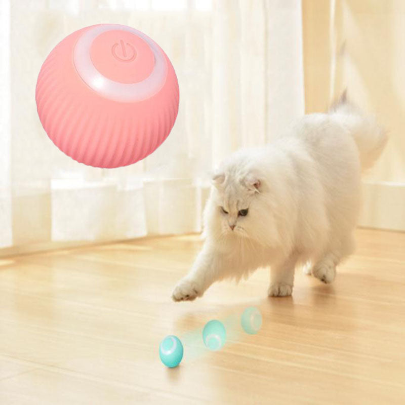Pawlenciaga Interactive Ball