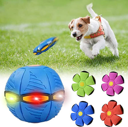 Pawlenciaga Dog Frisbee